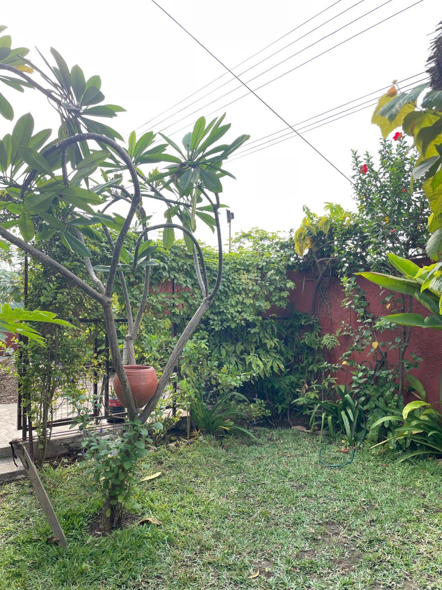 Hechtech House Apartment Accra Luaran gambar