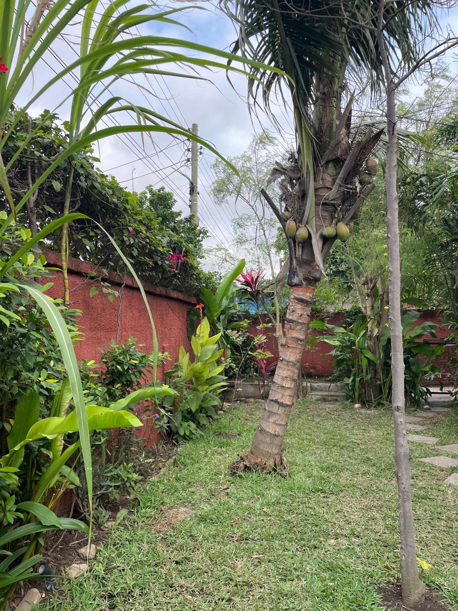 Hechtech House Apartment Accra Luaran gambar